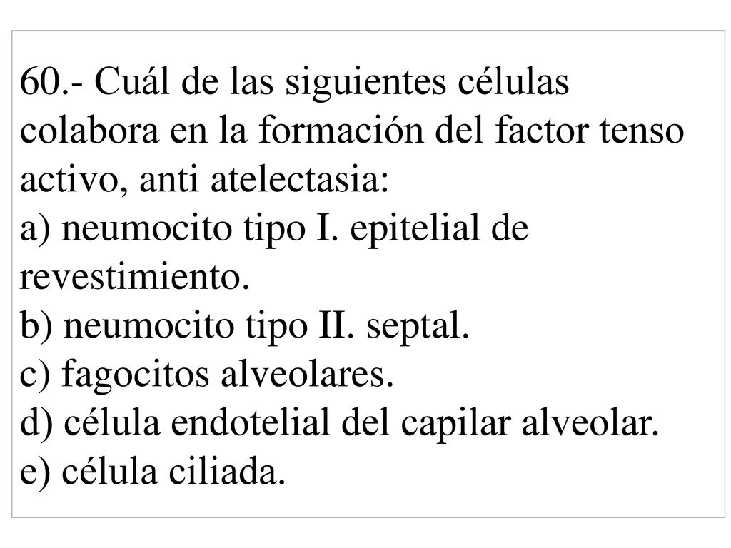 60.- Cuál de las siguientes células colabora en la formación del factor tenso activo, anti atelectasia: a) neumocito tipo I.
