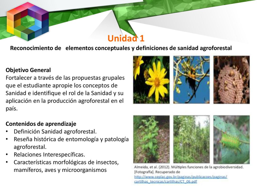 Unidad 1 Reconocimiento de elementos conceptuales y definiciones de sanidad agroforestal. Objetivo General.