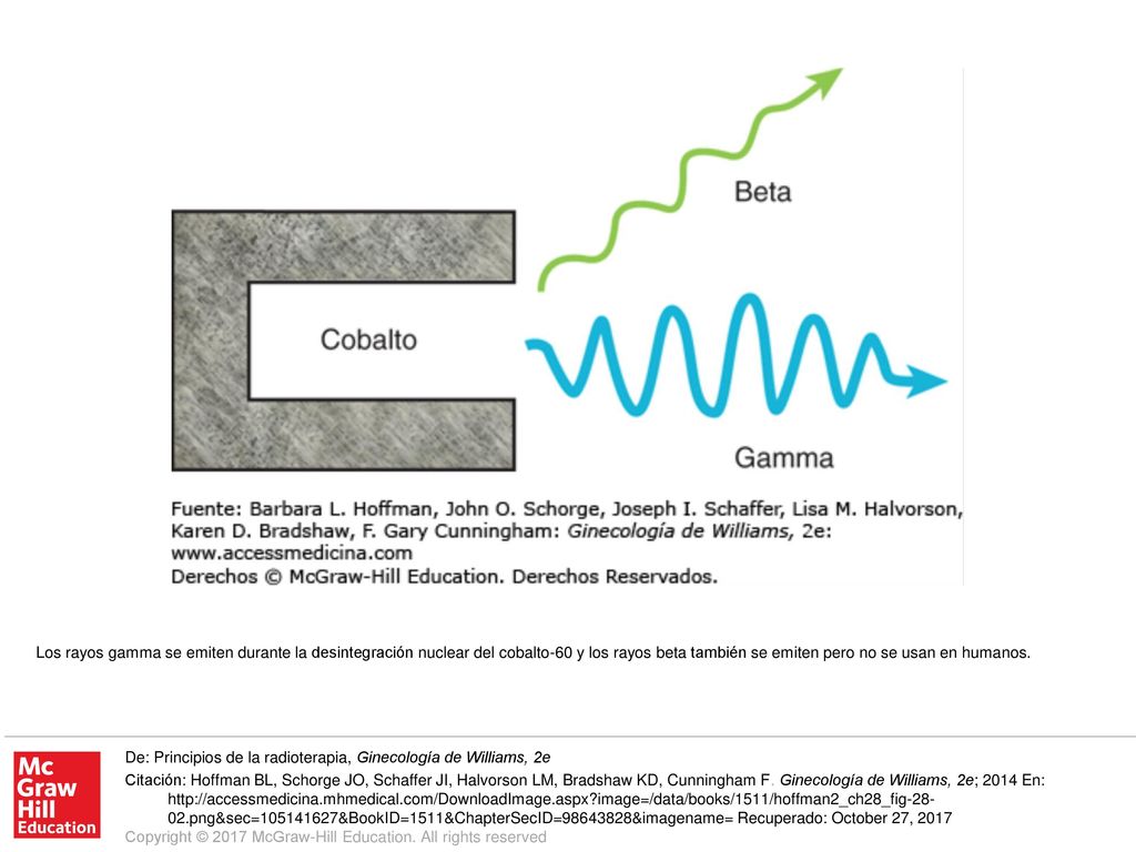 Los rayos gamma se emiten durante la desintegración nuclear del cobalto-60 y los rayos beta también se emiten pero no se usan en humanos.