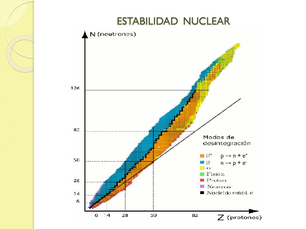 ESTABILIDAD NUCLEAR p → n + e+ n → p + e-