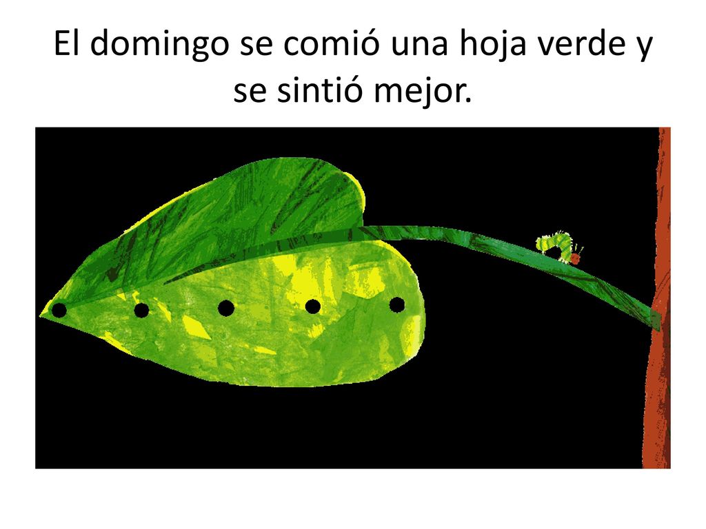 El domingo se comió una hoja verde y se sintió mejor.