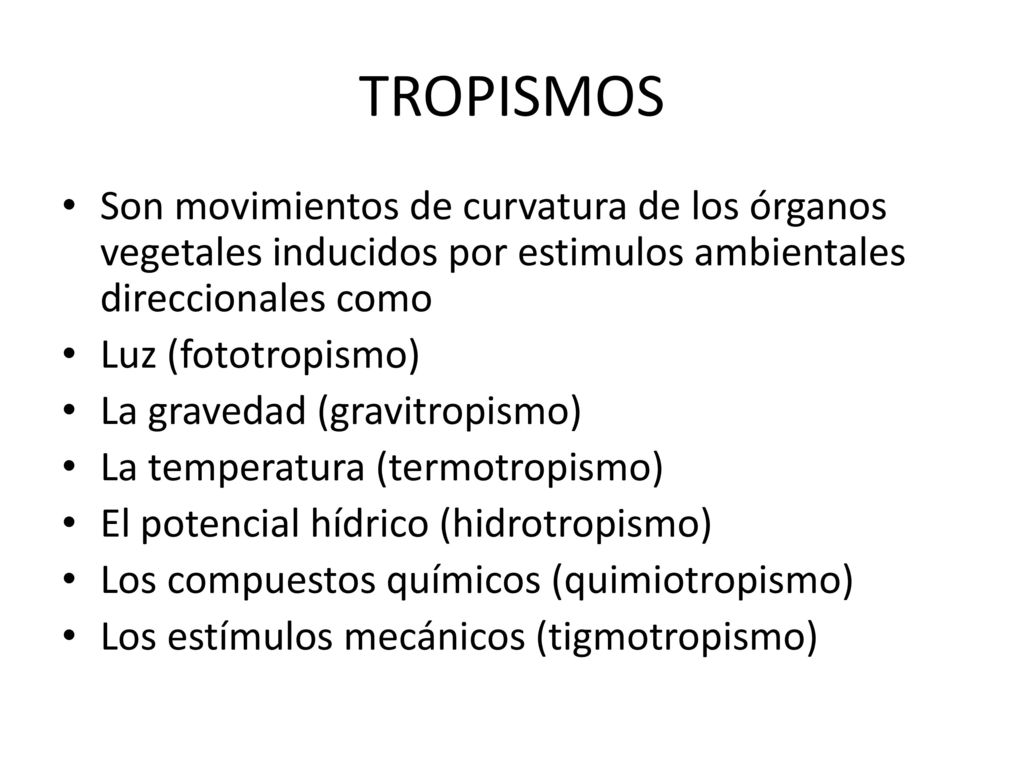 TROPISMOS Son movimientos de curvatura de los órganos vegetales inducidos por estimulos ambientales direccionales como.
