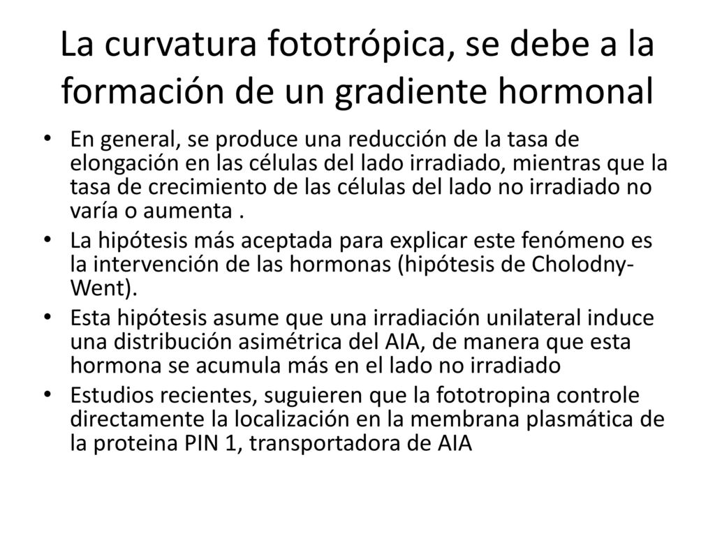 La curvatura fototrópica, se debe a la formación de un gradiente hormonal