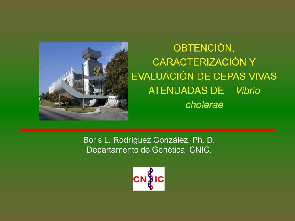 OBTENCIÓN, CARACTERIZACIÓN Y EVALUACIÓN DE CEPAS VIVAS ATENUADAS DE Vibrio cholerae