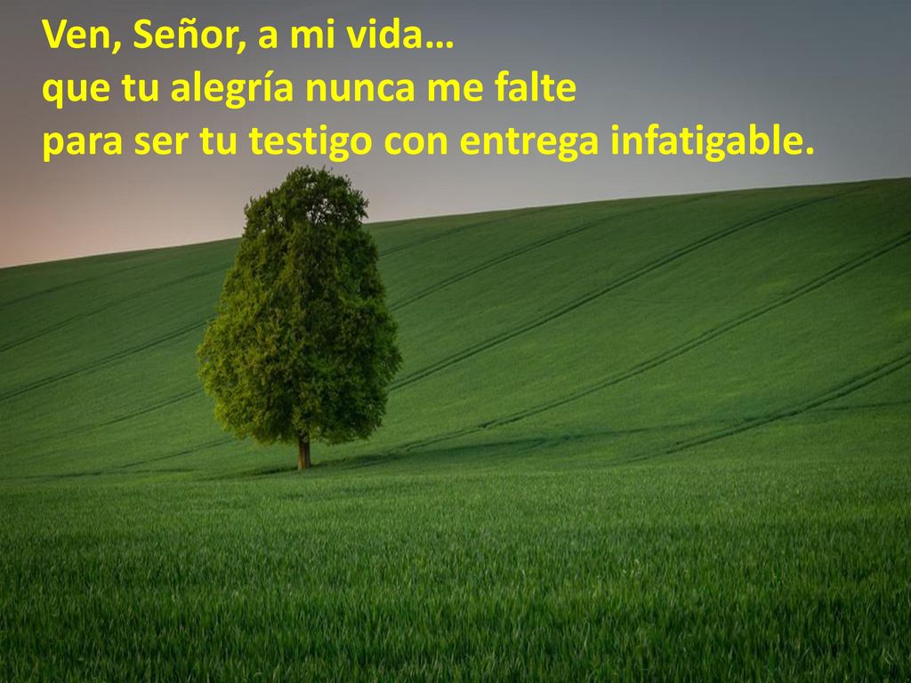 Ven, Señor, a mi vida… que tu alegría nunca me falte para ser tu testigo con entrega infatigable.