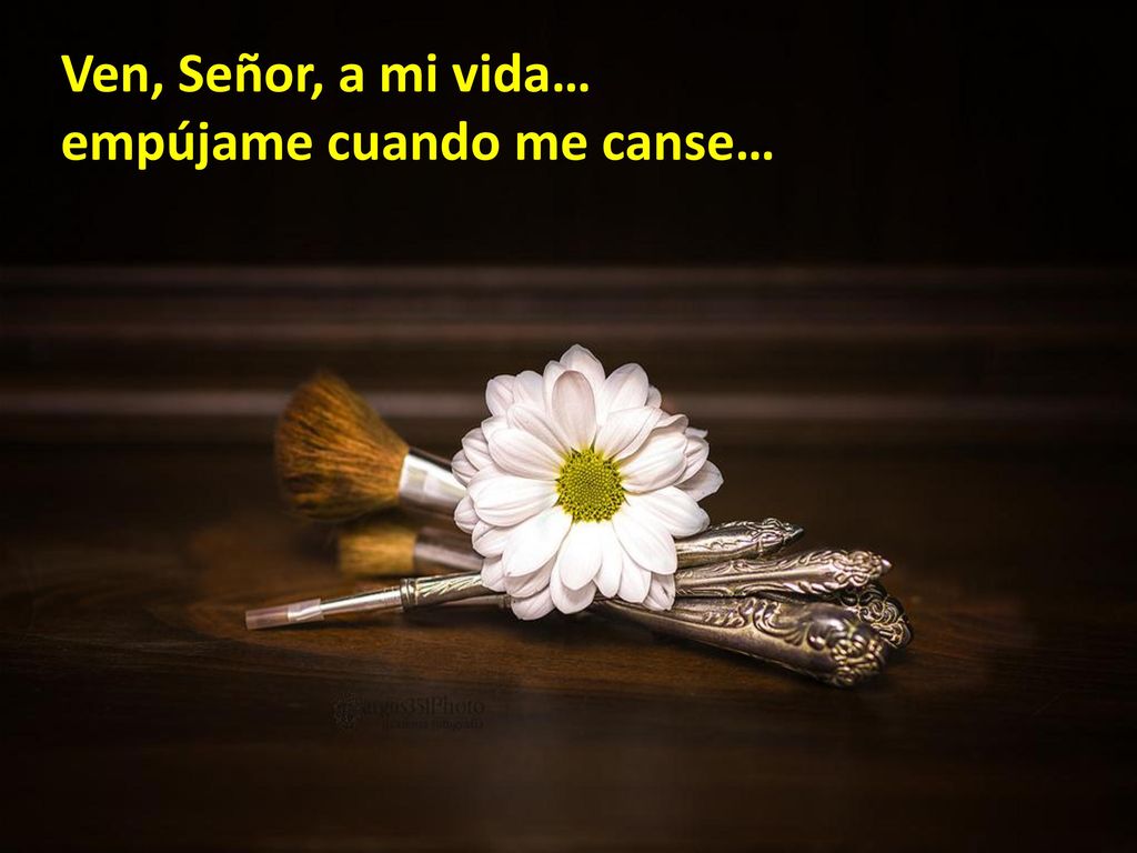 Ven, Señor, a mi vida… empújame cuando me canse…