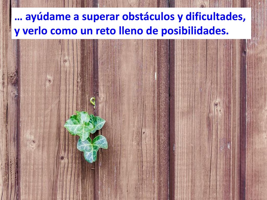 … ayúdame a superar obstáculos y dificultades, y verlo como un reto lleno de posibilidades.