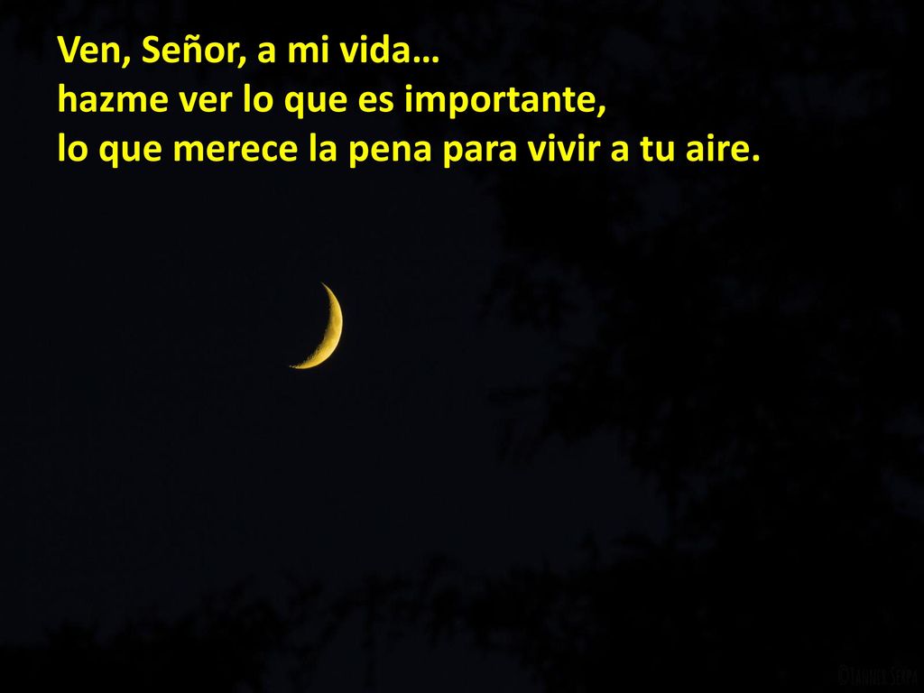 Ven, Señor, a mi vida… hazme ver lo que es importante, lo que merece la pena para vivir a tu aire.