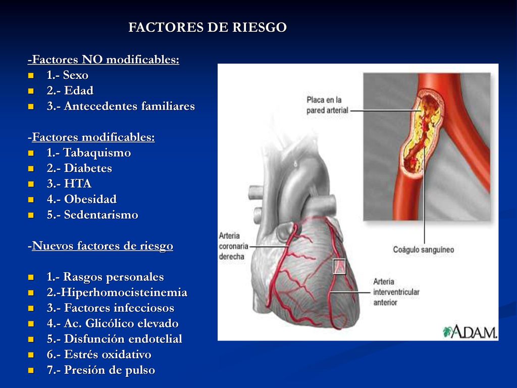 FACTORES DE RIESGO -Factores NO modificables: 1.- Sexo 2.- Edad