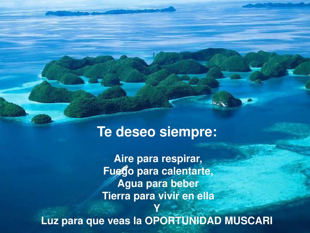 Tierra para vivir en ella Luz para que veas la OPORTUNIDAD MUSCARI