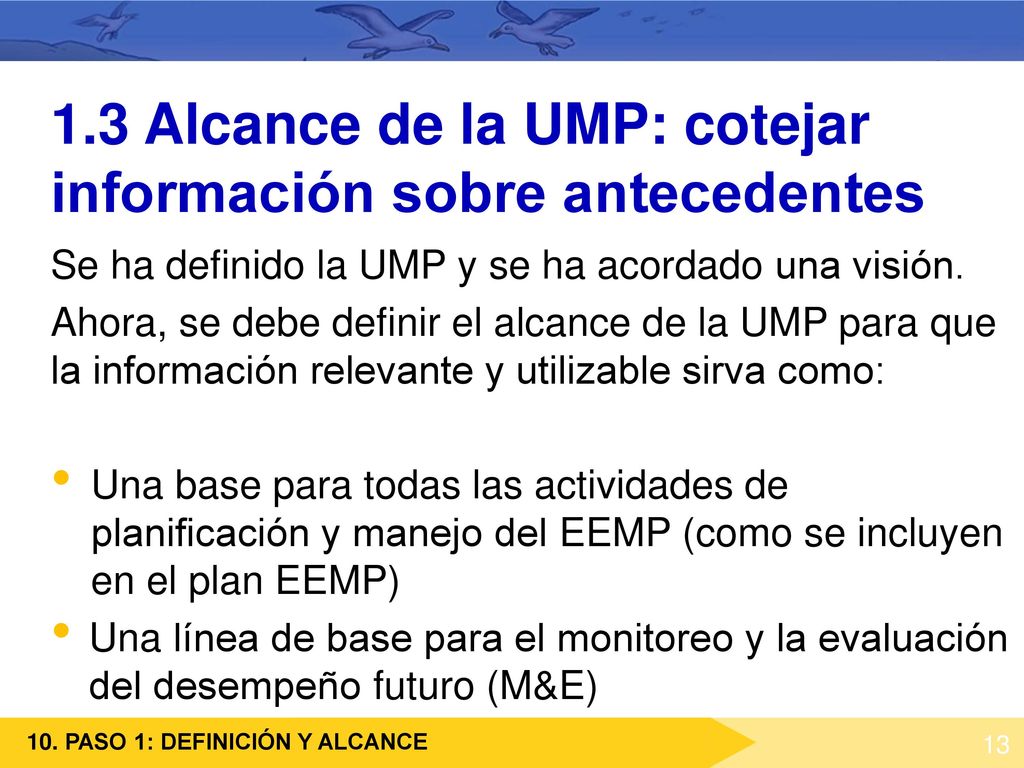 1.3 Alcance de la UMP: cotejar información sobre antecedentes