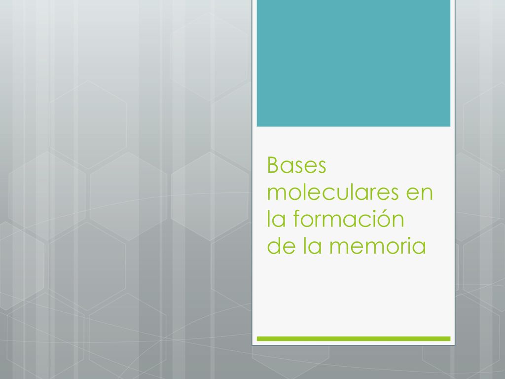 Bases moleculares en la formación de la memoria