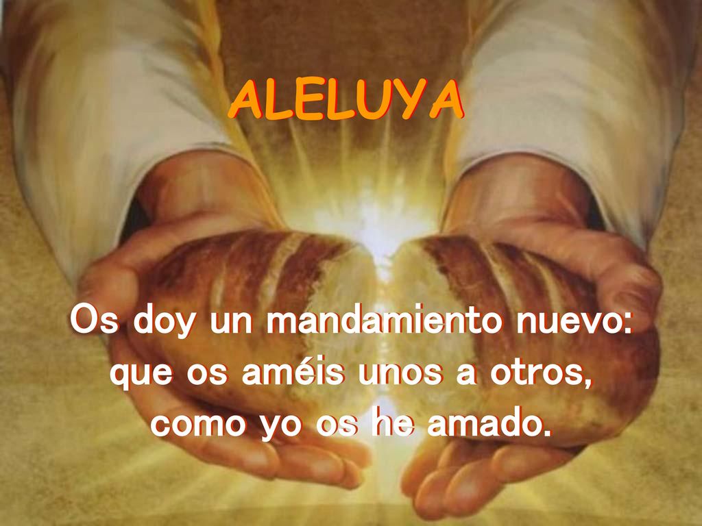Os doy un mandamiento nuevo: que os améis unos a otros,