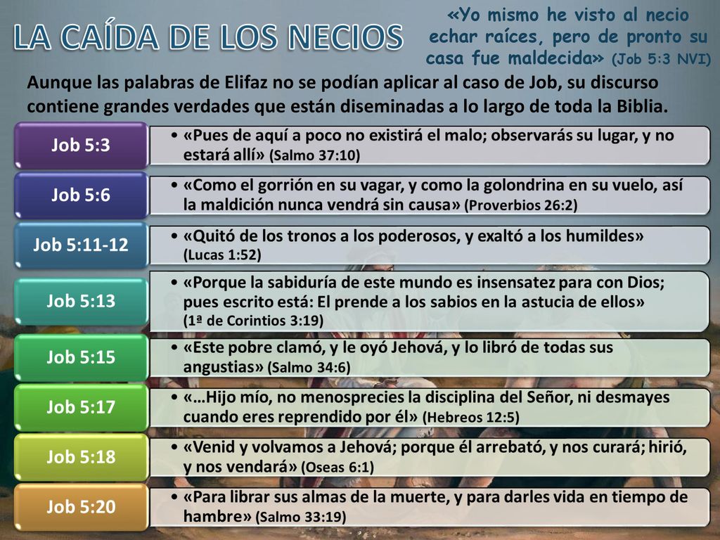 «Yo mismo he visto al necio echar raíces, pero de pronto su casa fue maldecida» (Job 5:3 NVI)