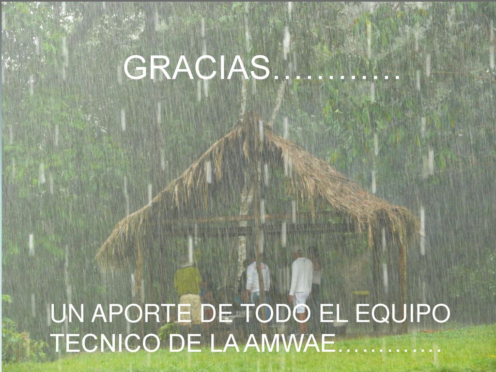 GRACIAS………… UN APORTE DE TODO EL EQUIPO TECNICO DE LA AMWAE………….