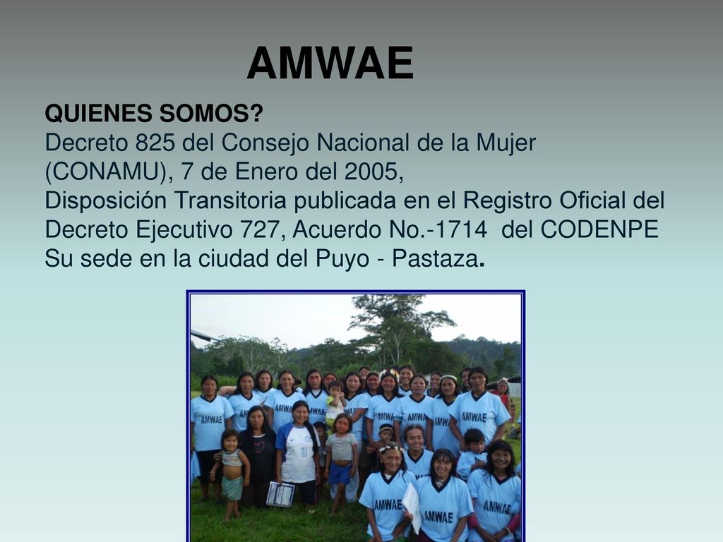 AMWAE QUIENES SOMOS Decreto 825 del Consejo Nacional de la Mujer (CONAMU), 7 de Enero del 2005,