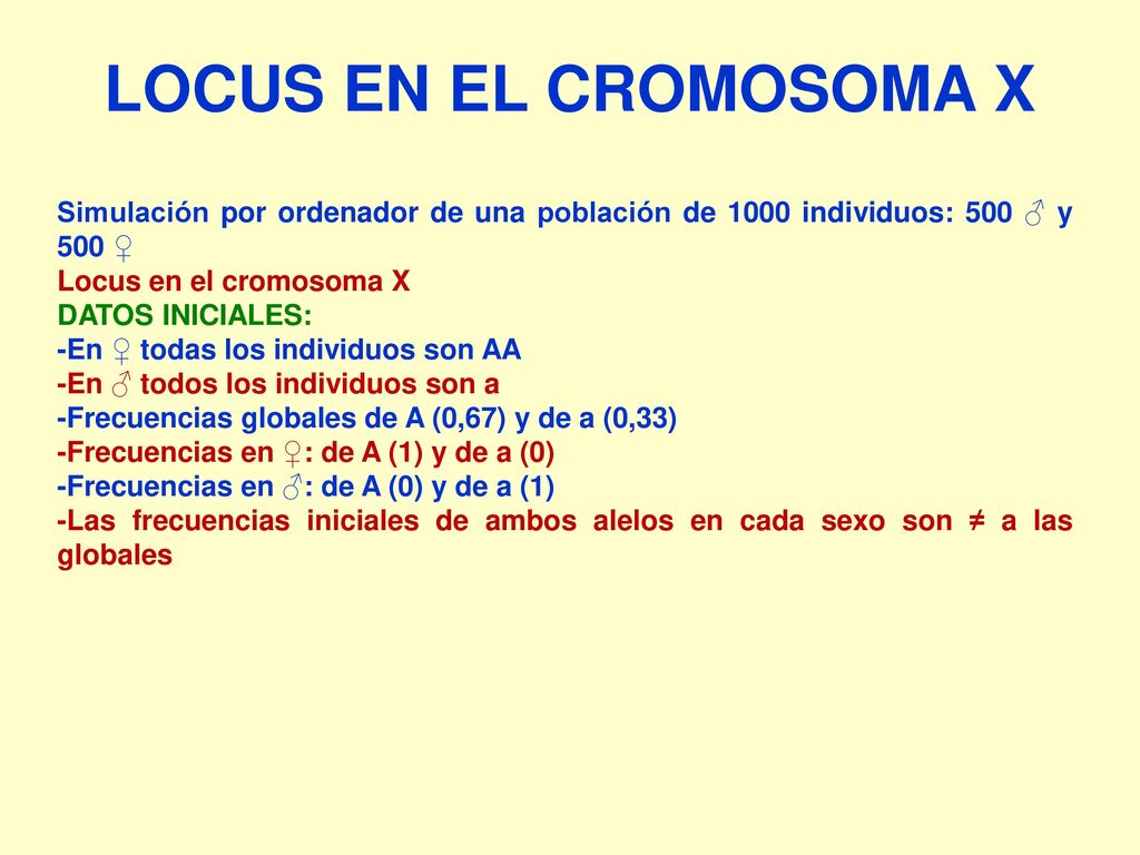 LOCUS EN EL CROMOSOMA X Simulación por ordenador de una población de 1000 individuos: 500 ♂ y 500 ♀