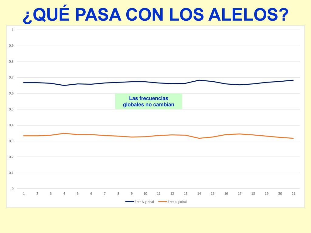 ¿QUÉ PASA CON LOS ALELOS Las frecuencias globales no cambian