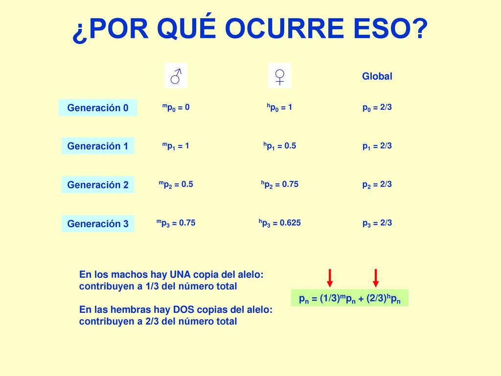 ¿POR QUÉ OCURRE ESO ♂ ♀ Global Generación 0 Generación 1 Generación 2
