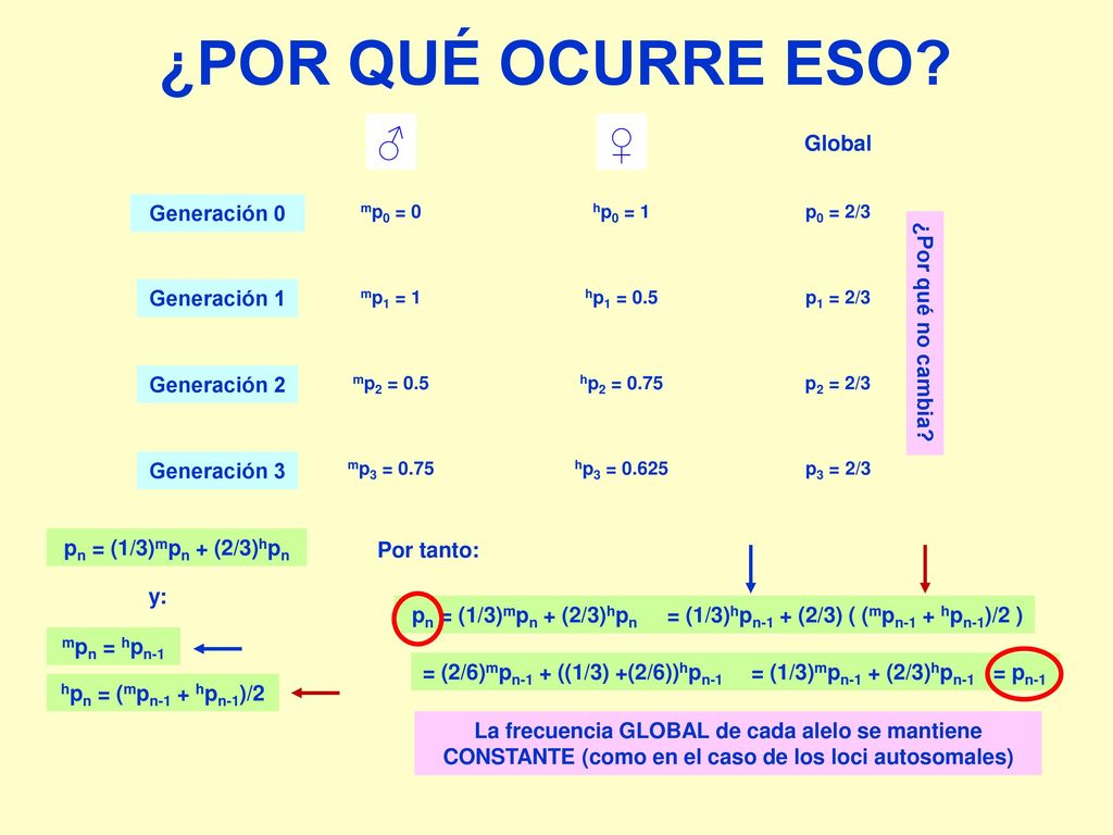 ¿POR QUÉ OCURRE ESO ♂ ♀ Generación 0 Generación 1 Generación 2