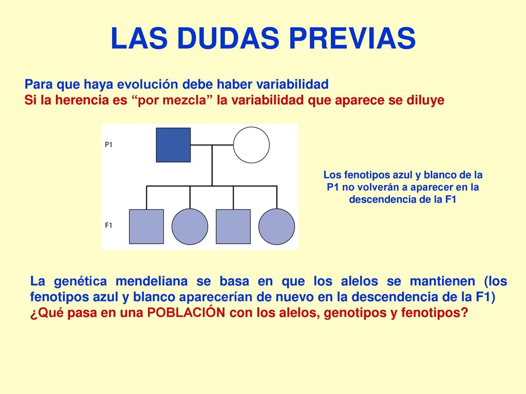 LAS DUDAS PREVIAS Para que haya evolución debe haber variabilidad
