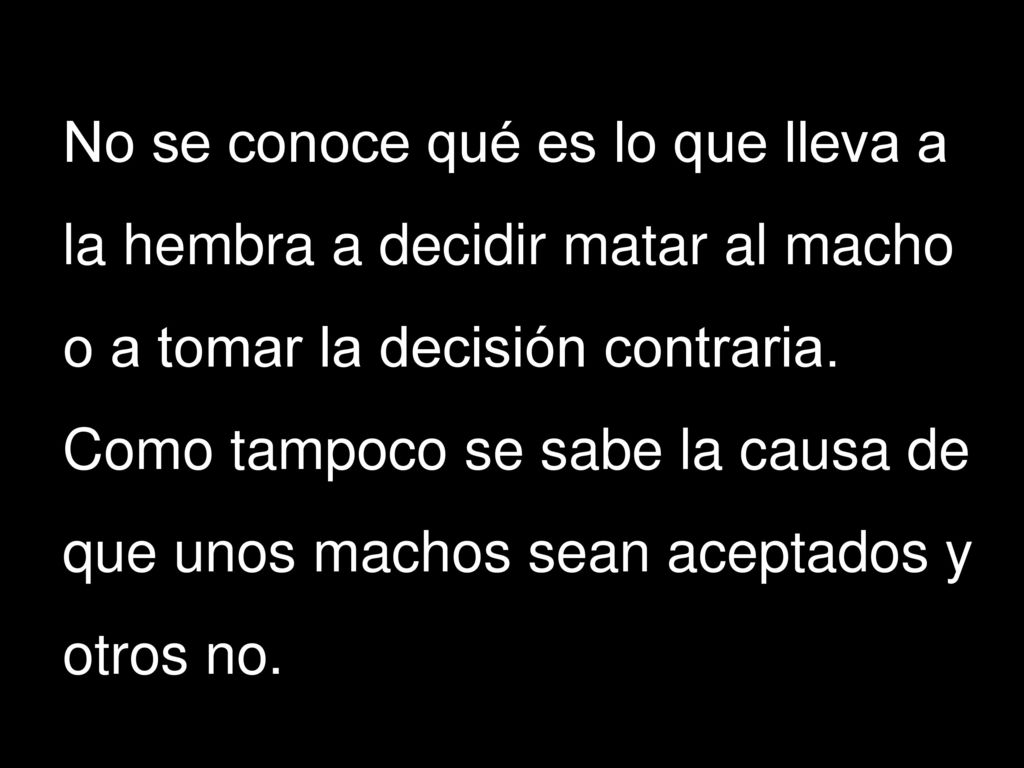 No se conoce qué es lo que lleva a la hembra a decidir matar al macho o a tomar la decisión contraria.