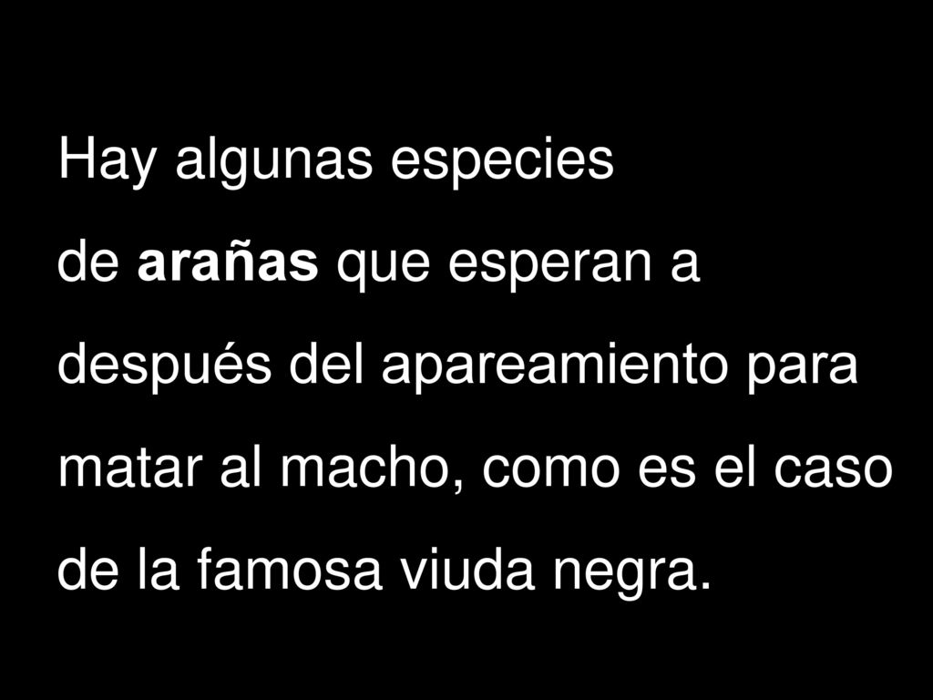 Hay algunas especies de arañas que esperan a después del apareamiento para matar al macho, como es el caso de la famosa viuda negra.