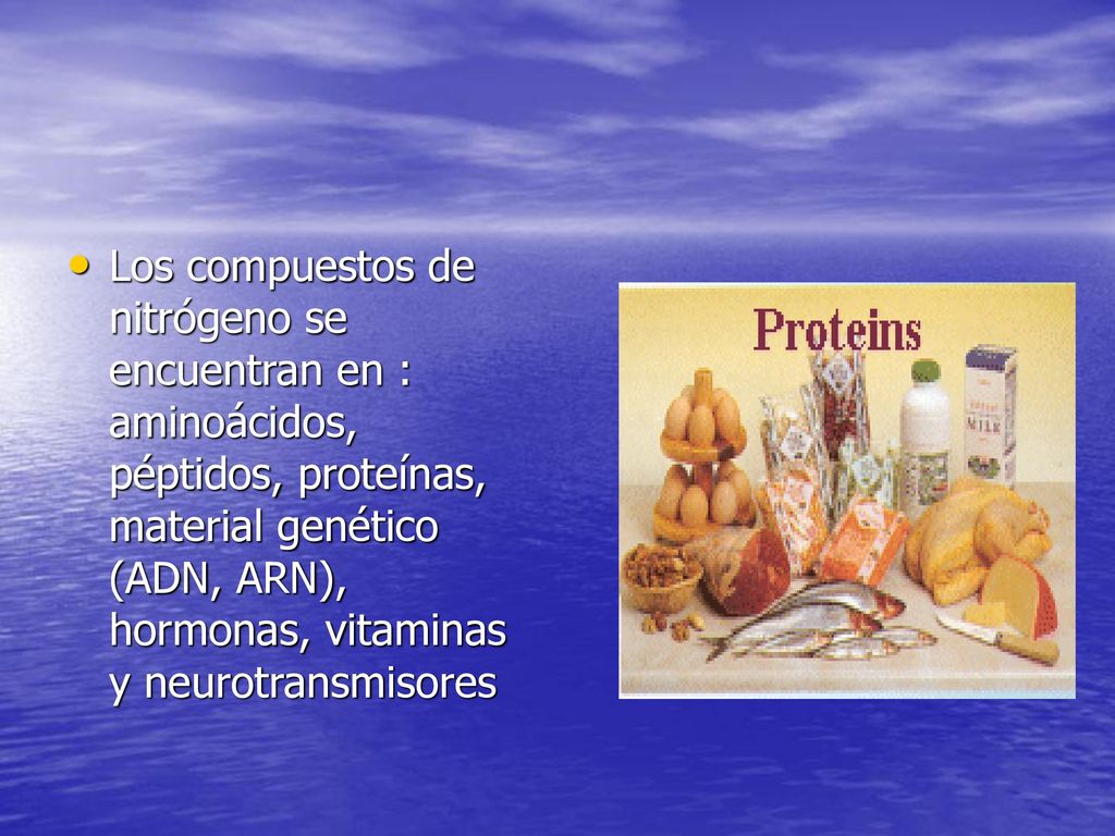 Los compuestos de nitrógeno se encuentran en : aminoácidos, péptidos, proteínas, material genético (ADN, ARN), hormonas, vitaminas y neurotransmisores