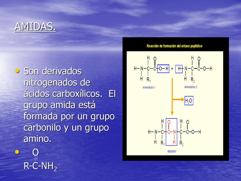 AMIDAS. Son derivados nitrogenados de ácidos carboxílicos. El grupo amida está formada por un grupo carbonilo y un grupo amino.