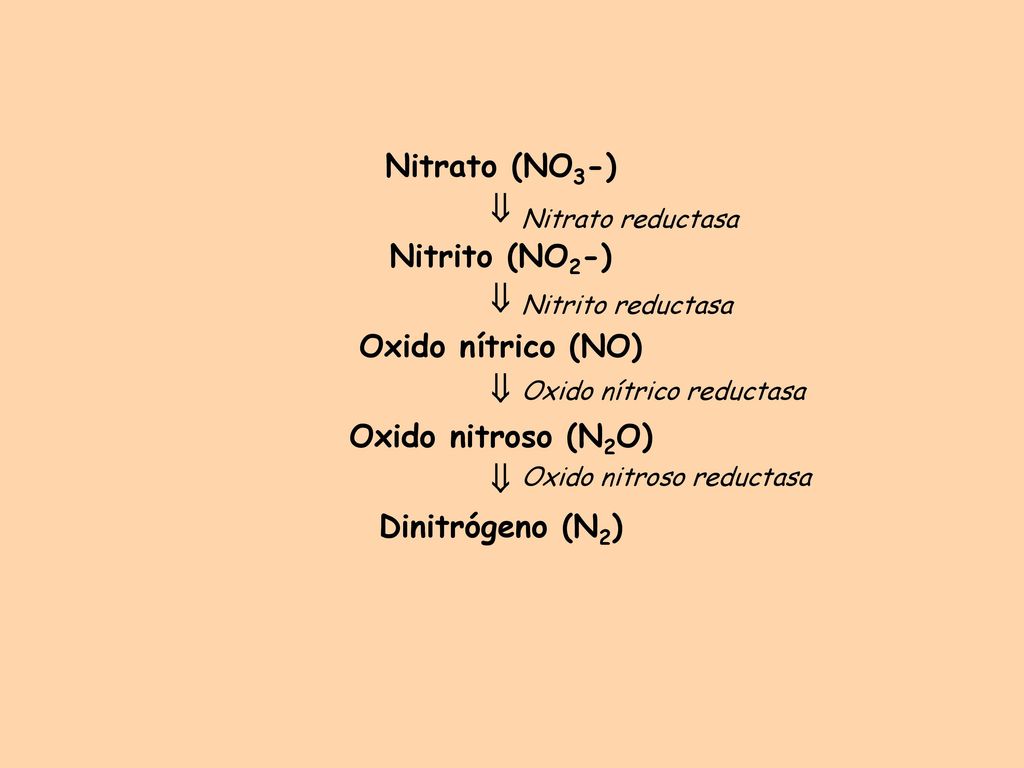 Nitrato (NO3-)  Nitrito (NO2-) Oxido nítrico (NO) Oxido nitroso (N2O)