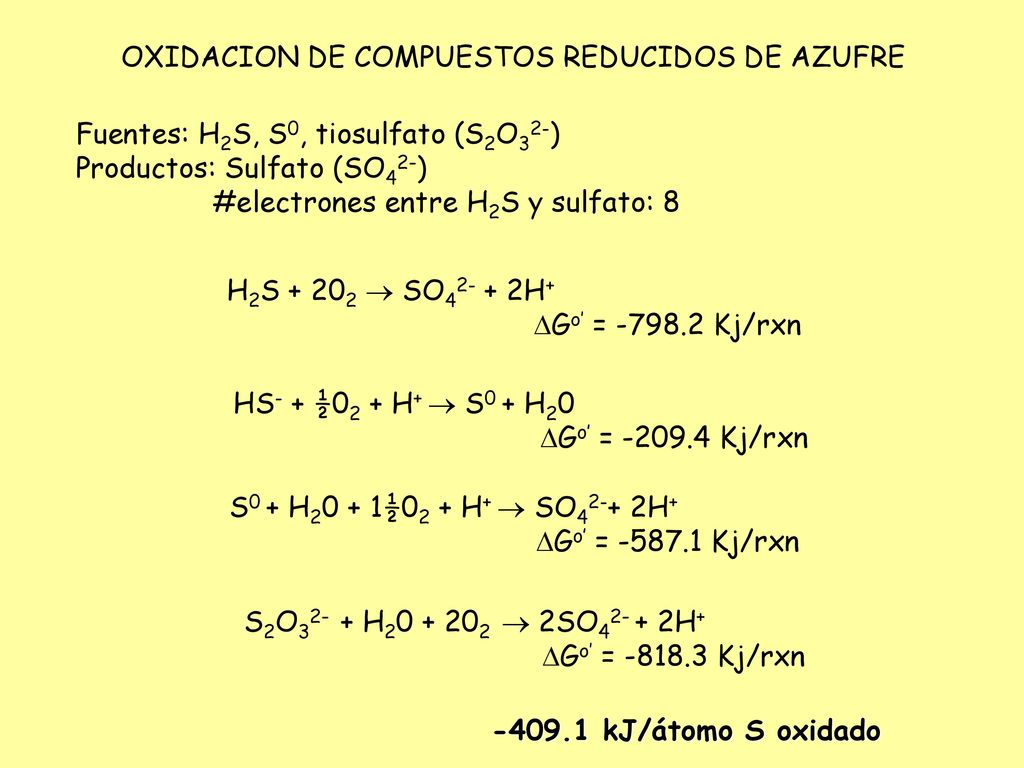 H2S  SO H+ Go’ = Kj/rxn. HS- + ½02 + H+  S0 + H20. Go’ = Kj/rxn. S0 + H20 + 1½02 + H+  SO42-+ 2H+