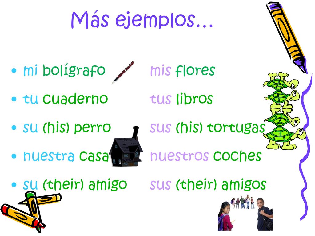 Más ejemplos… mi bolígrafo mis flores tu cuaderno tus libros