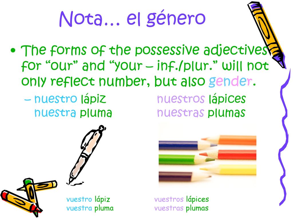 Nota… el género The forms of the possessive adjectives for our and your – inf./plur. will not only reflect number, but also gender.