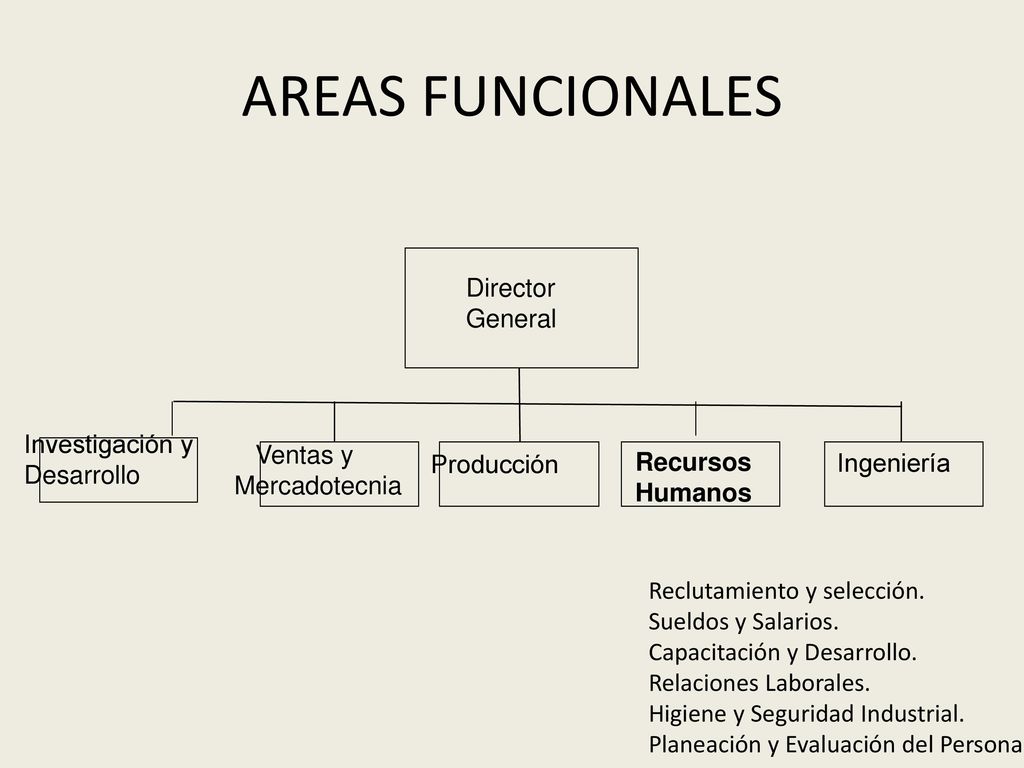 AREAS FUNCIONALES Director General Investigación y Ventas y Desarrollo