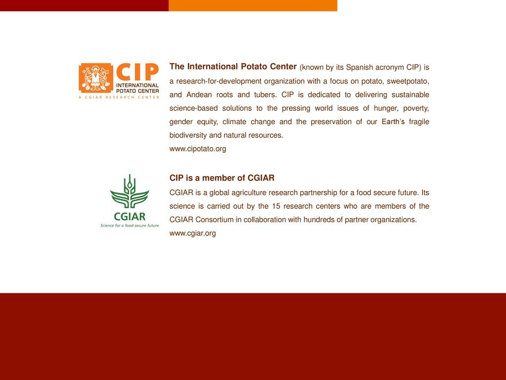 The International Potato Center (known by its Spanish acronym CIP) is a research-for-development organization with a focus on potato, sweetpotato, and Andean roots and tubers. CIP is dedicated to delivering sustainable science-based solutions to the pressing world issues of hunger, poverty, gender equity, climate change and the preservation of our Earth’s fragile biodiversity and natural resources.