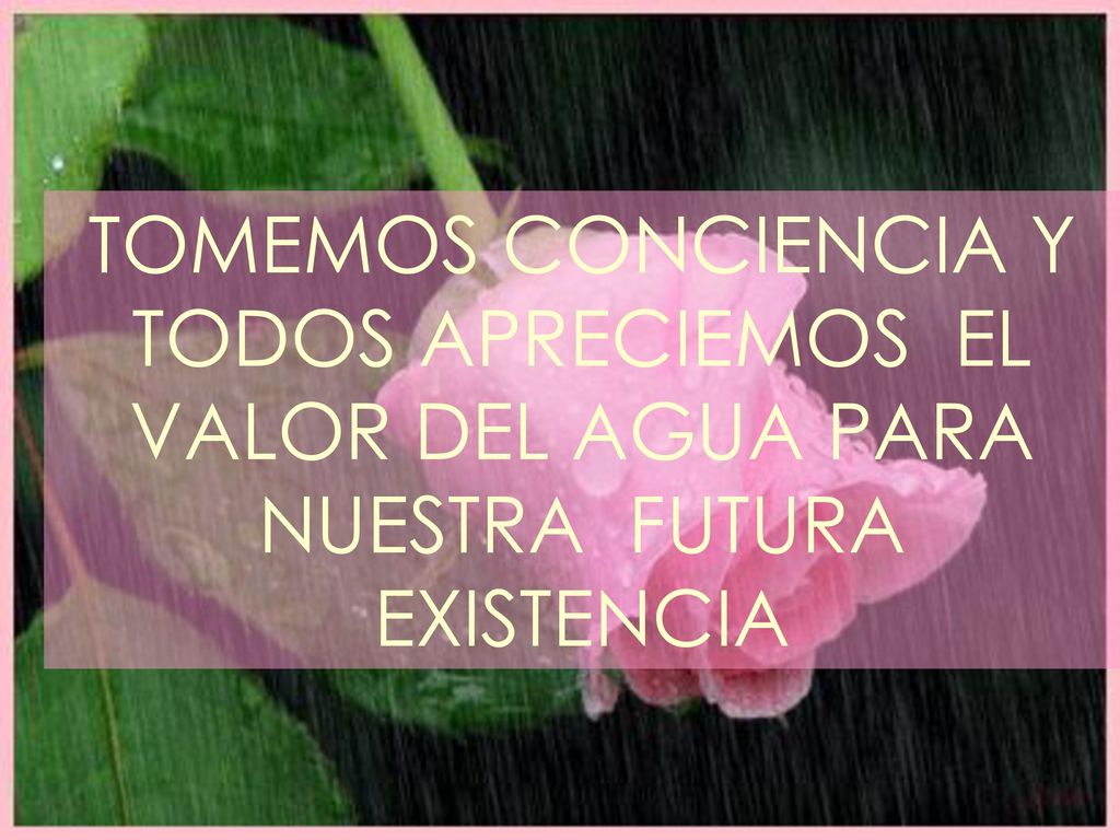 TOMEMOS CONCIENCIA Y TODOS APRECIEMOS EL VALOR DEL AGUA PARA NUESTRA FUTURA EXISTENCIA
