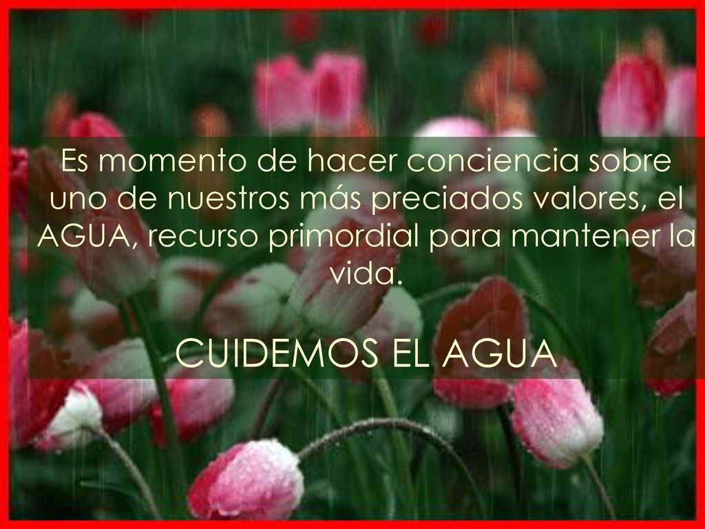 Es momento de hacer conciencia sobre uno de nuestros más preciados valores, el AGUA, recurso primordial para mantener la vida.