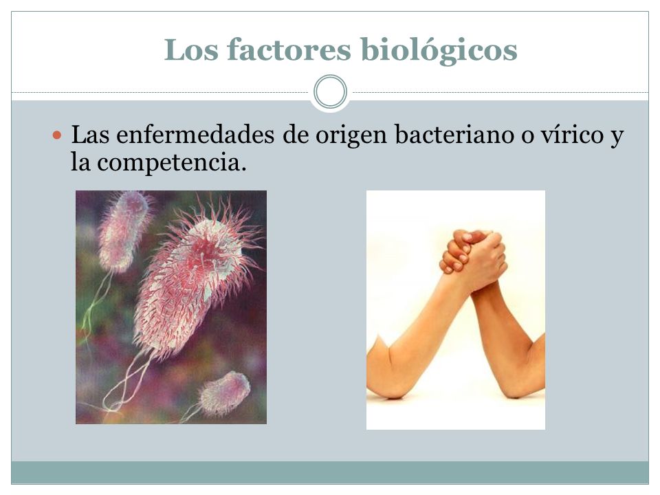 Los factores biológicos