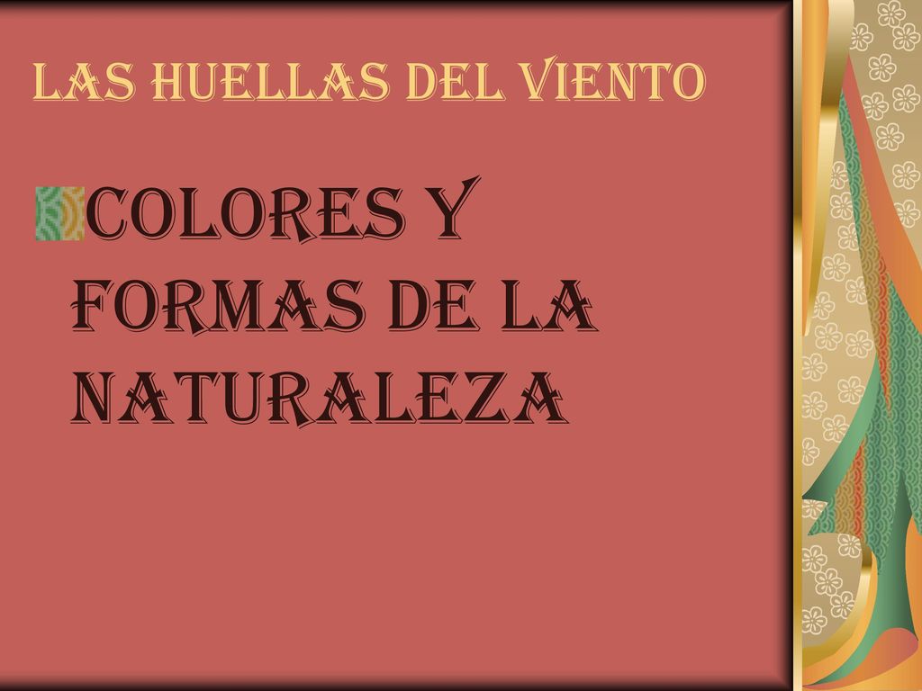 COLORES Y FORMAS DE LA NATURALEZA