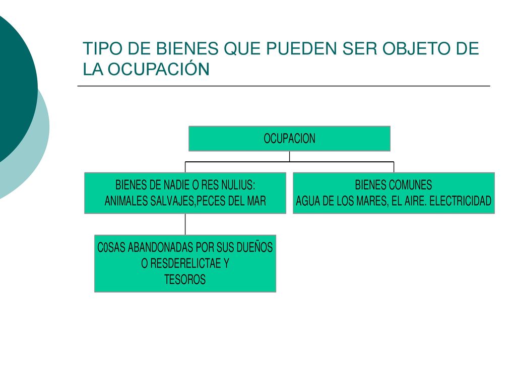TIPO DE BIENES QUE PUEDEN SER OBJETO DE LA OCUPACIÓN