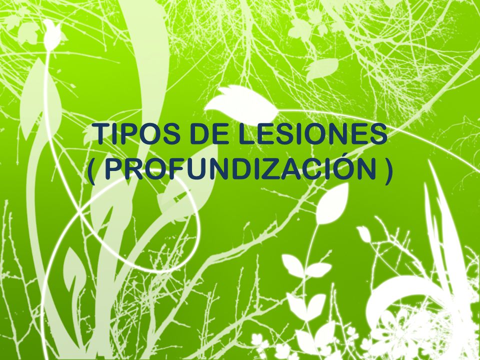 TIPOS DE LESIONES ( PROFUNDIZACIÓN )