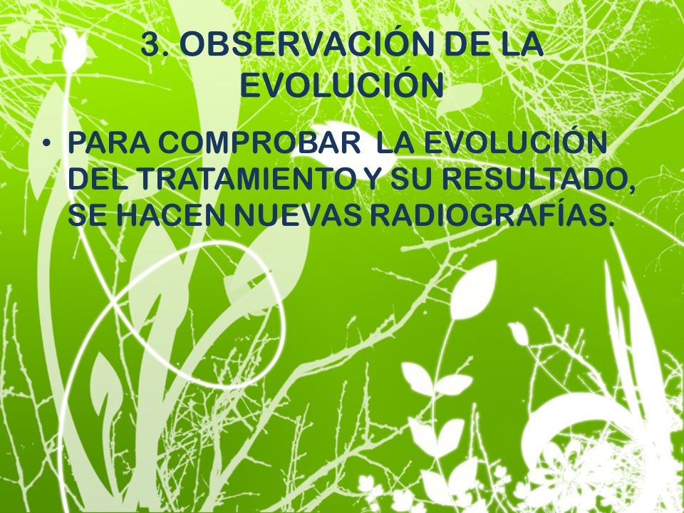 3. OBSERVACIÓN DE LA EVOLUCIÓN