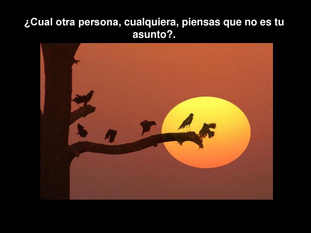 ¿Cual otra persona, cualquiera, piensas que no es tu asunto .