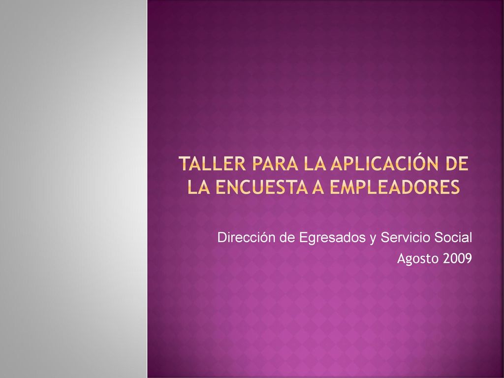 Taller para la aplicación de la encuesta a empleadores