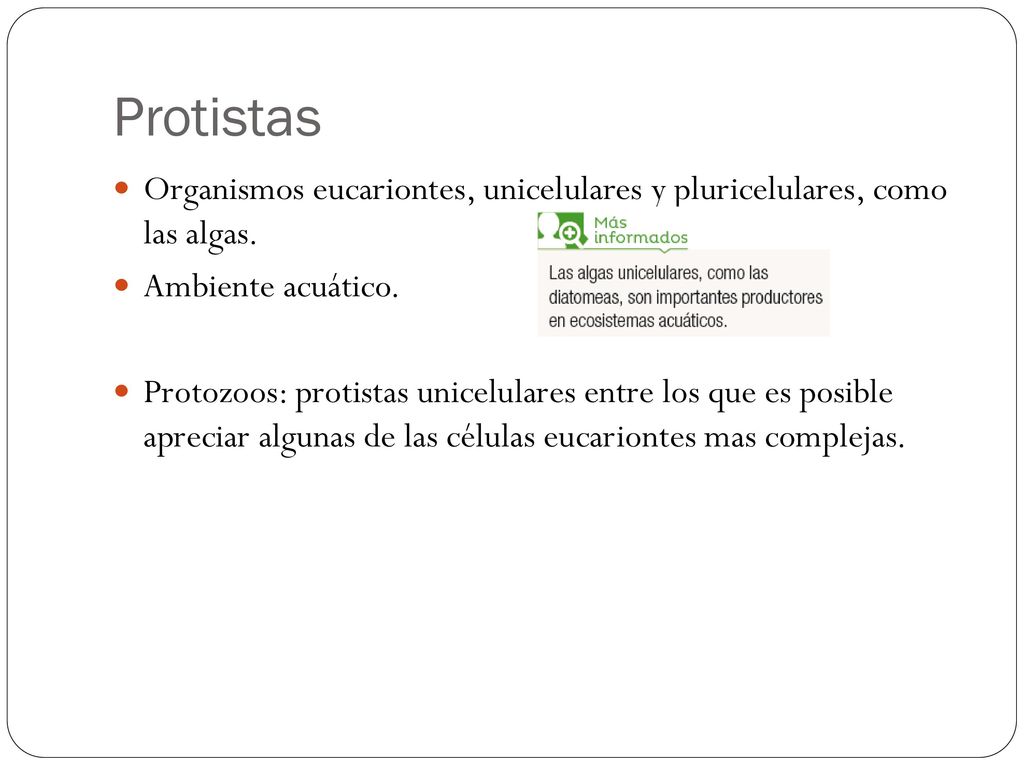 Protistas Organismos eucariontes, unicelulares y pluricelulares, como las algas. Ambiente acuático.