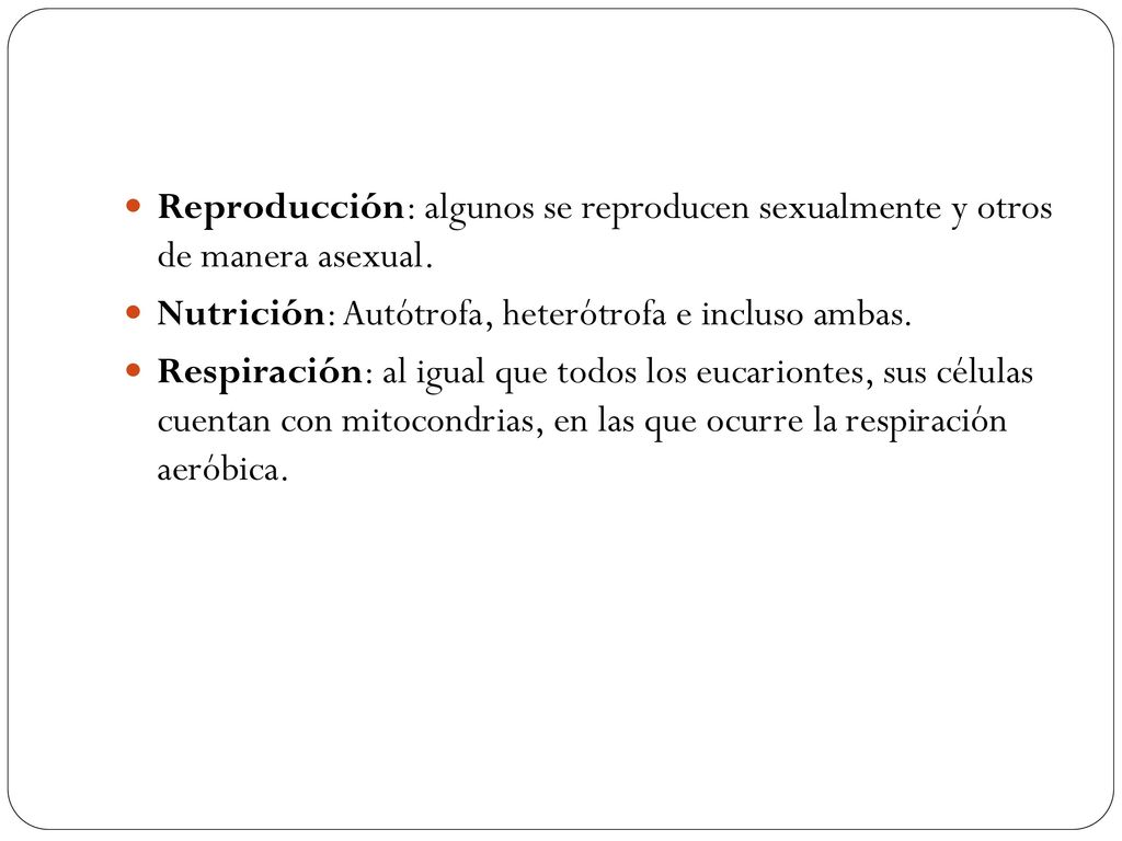 Reproducción: algunos se reproducen sexualmente y otros de manera asexual.