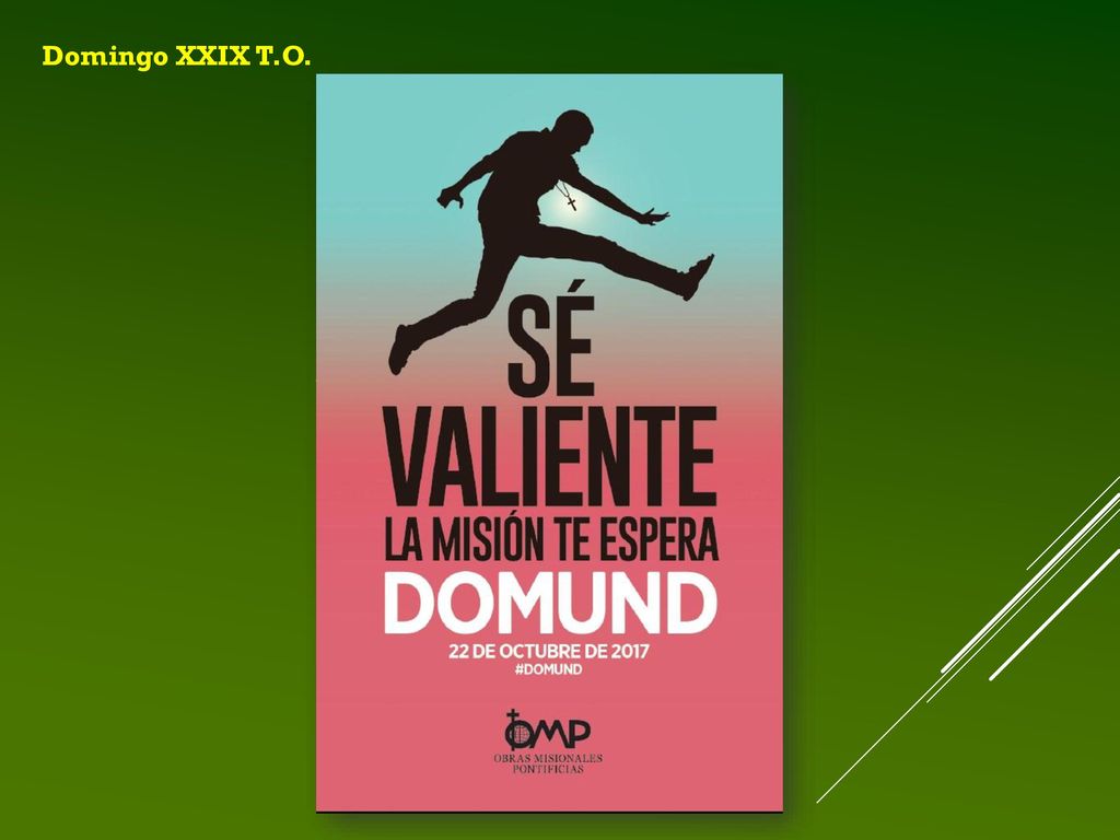 Domingo XXIX T.O. ¿Dónde comulgas ¿Cómo es tu corazón