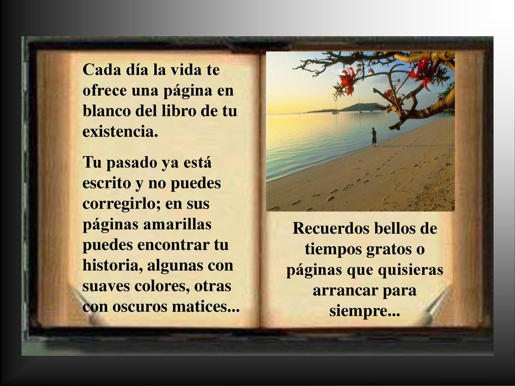 Cada día la vida te ofrece una página en blanco del libro de tu existencia.