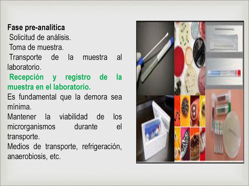 Fase pre-analítica Solicitud de análisis. Toma de muestra. Transporte de la muestra al laboratorio.