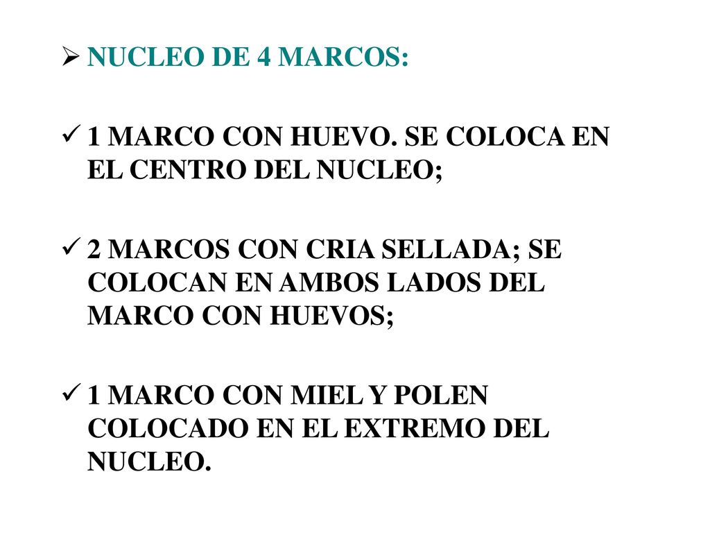 NUCLEO DE 4 MARCOS: 1 MARCO CON HUEVO. SE COLOCA EN EL CENTRO DEL NUCLEO; 2 MARCOS CON CRIA SELLADA; SE COLOCAN EN AMBOS LADOS DEL MARCO CON HUEVOS;